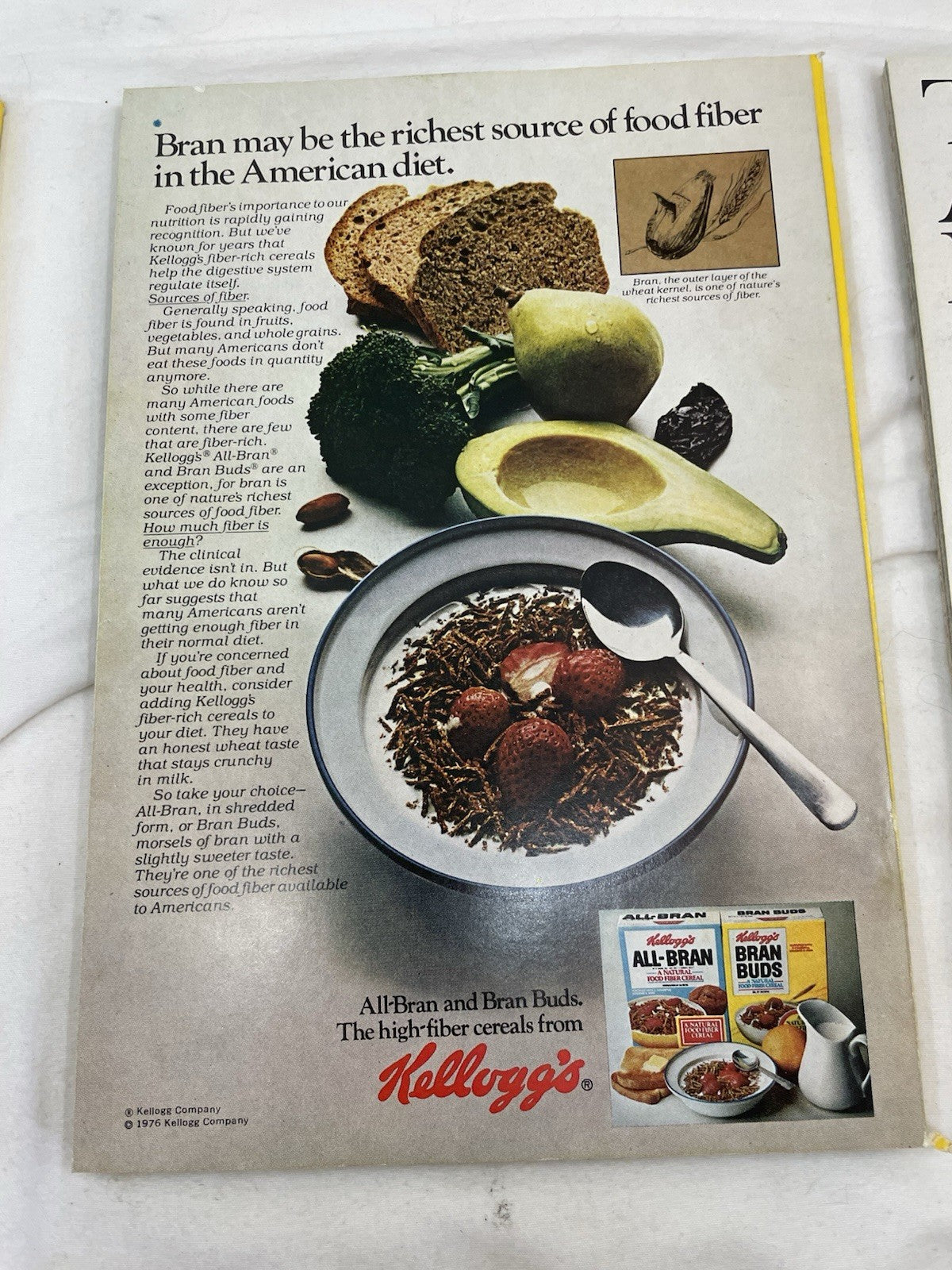 Nat Geo Jul–Dec 1976 Slipcover Lot | Vintage Science, Wildlife Magazine