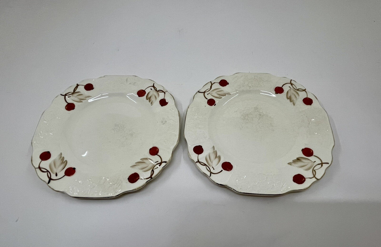 Myott Cherry Ripe Bone China Salad Side Plates x2 English Floral Vintage