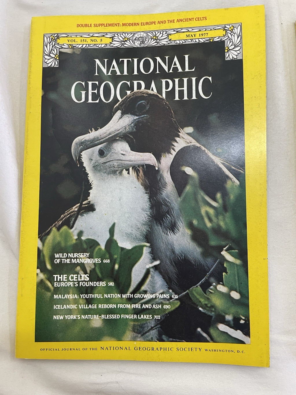 Nat Geo Jan–Jun 1977 Slipcover Lot | Earth, Culture, Illustrated Guide