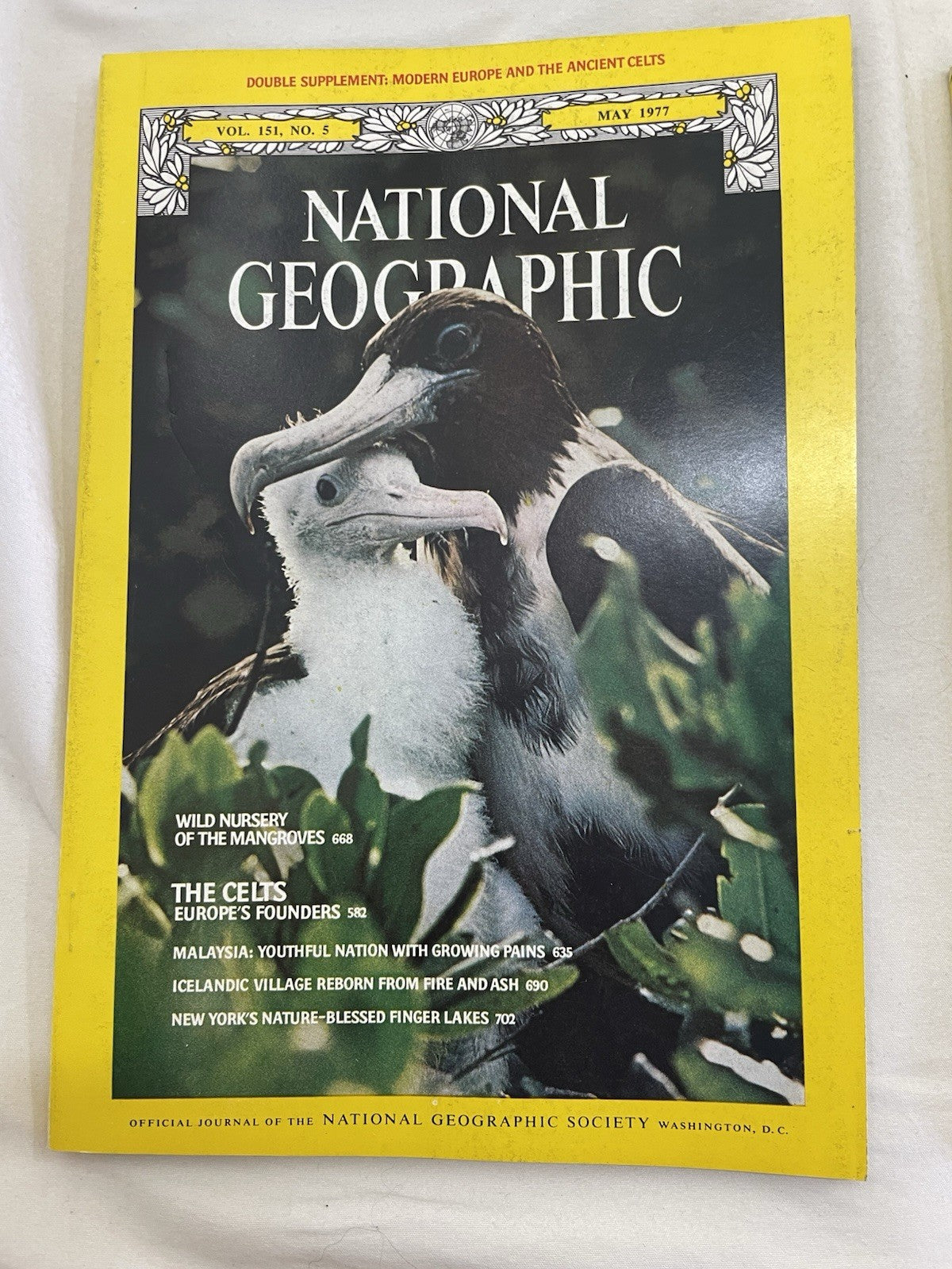 Nat Geo Jan–Jun 1977 Slipcover Lot | Earth, Culture, Illustrated Guide