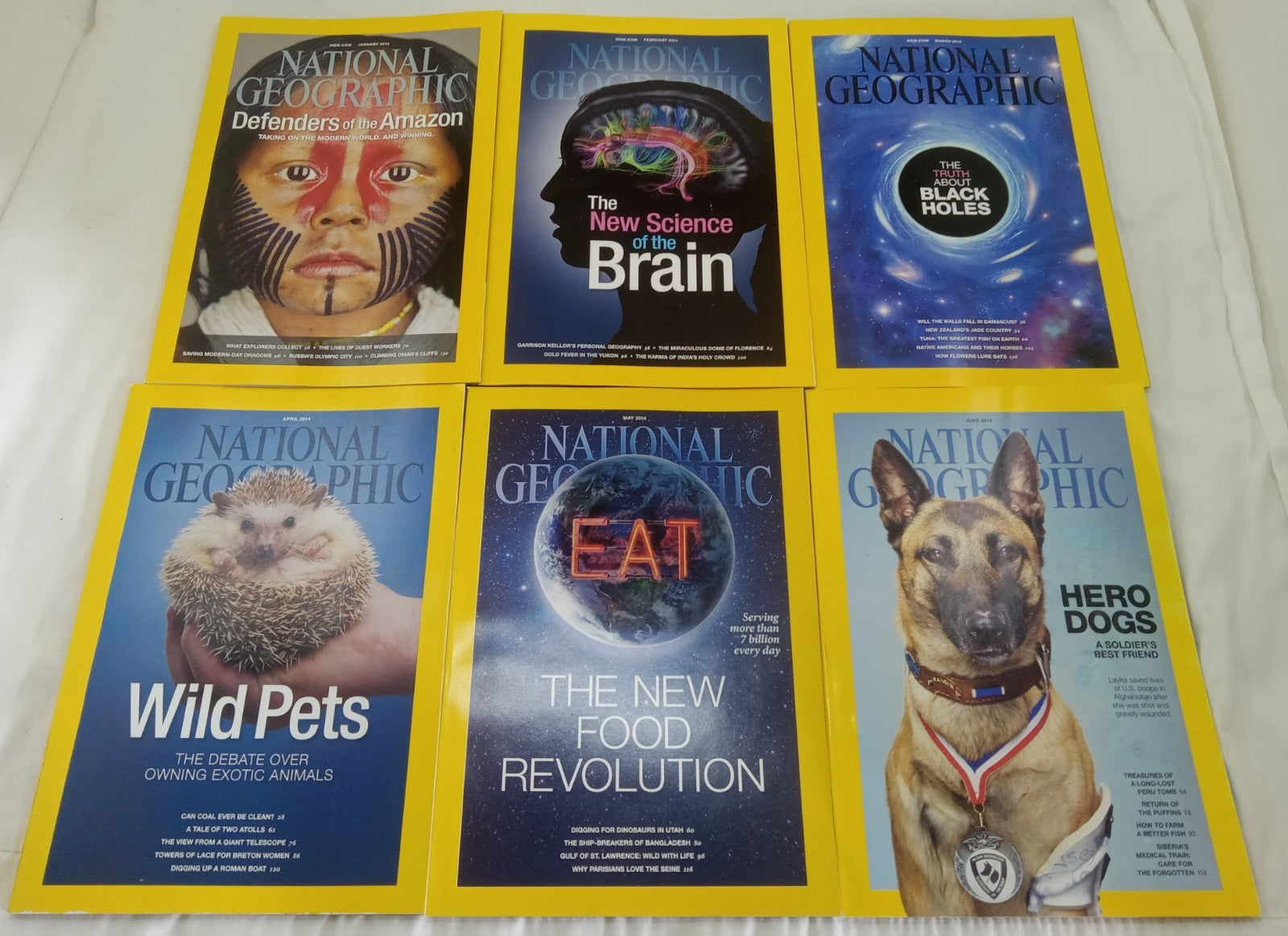 Nat Geo Jan–June 2014 | VG+ Set of 6 | Faux Leatherette Slipcover Case
