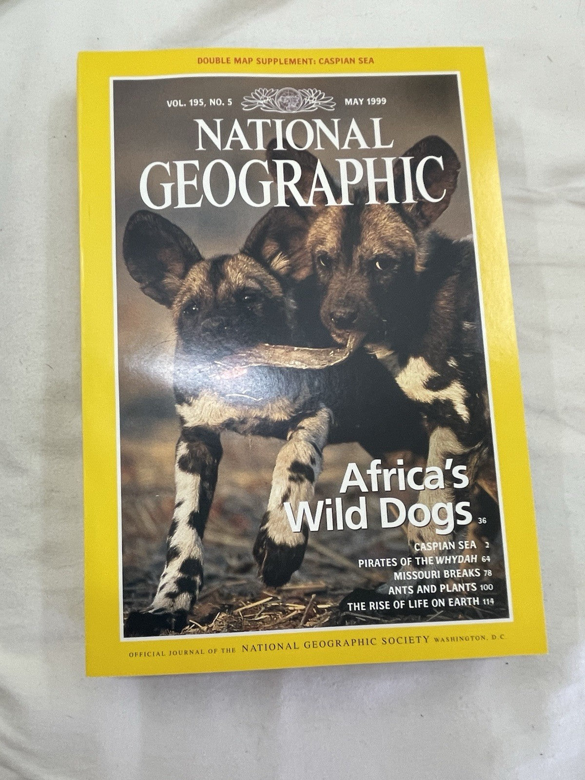 Vintage Nat Geo Jan–Jun 1999 Set w/ Slipcover | Nature, Wildlife, Earth