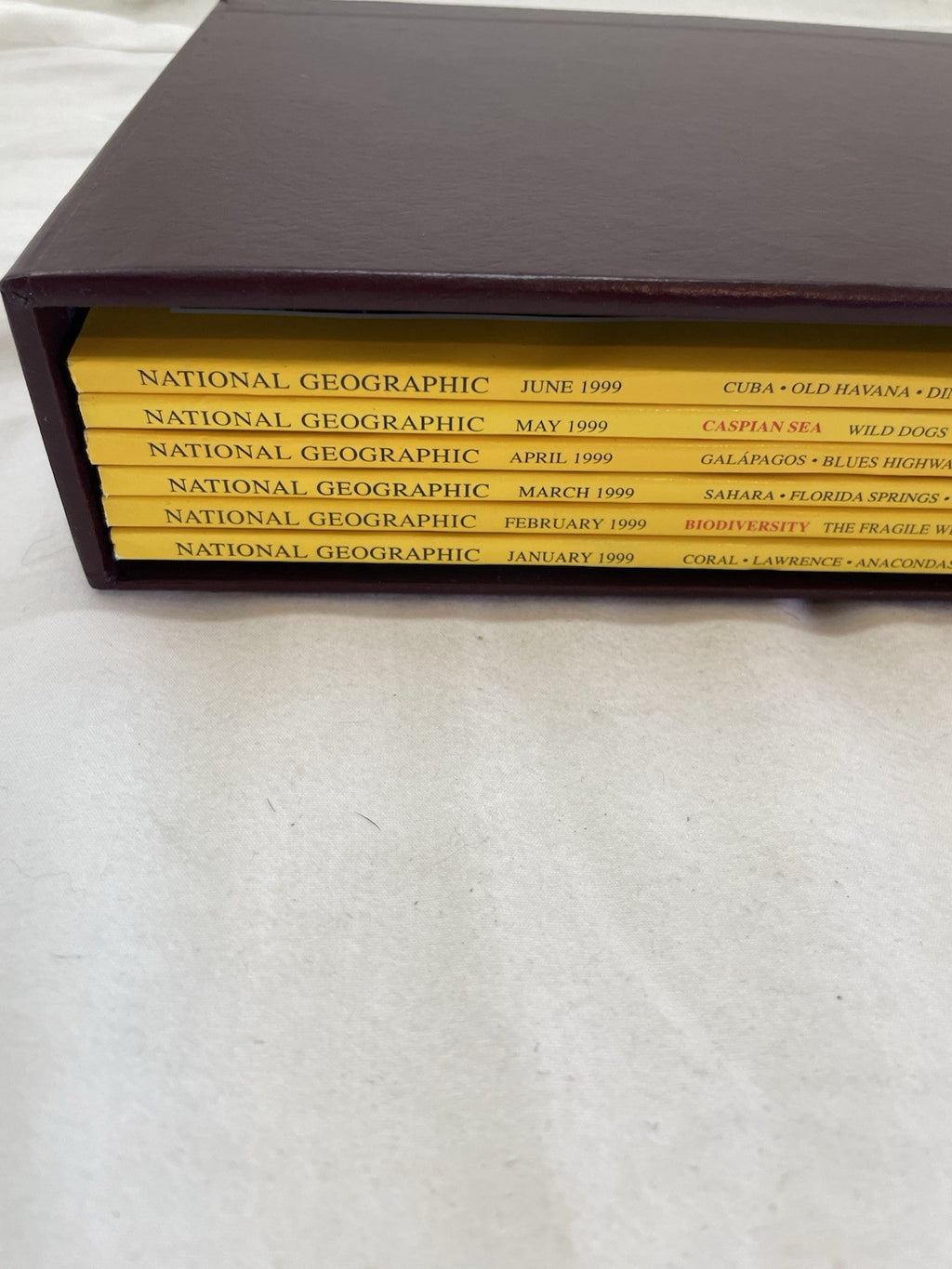 Vintage Nat Geo Jan–Jun 1999 Set w/ Slipcover | Nature, Wildlife, Earth