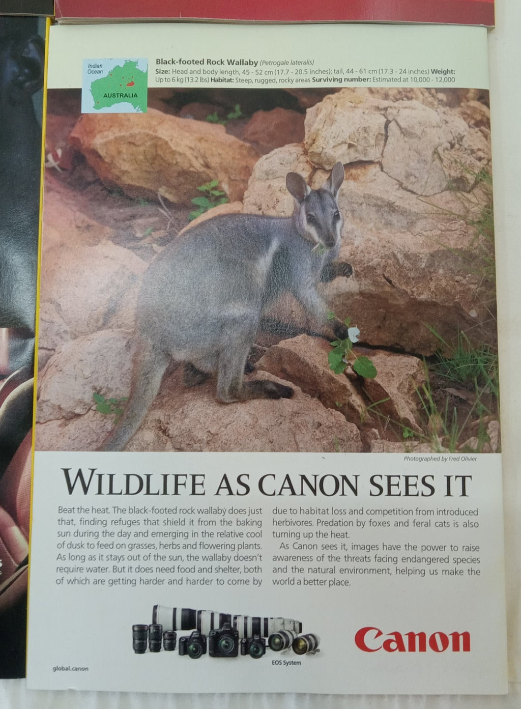 National Geographic Magazine Set Of 6 Magazines July-Dec 2020