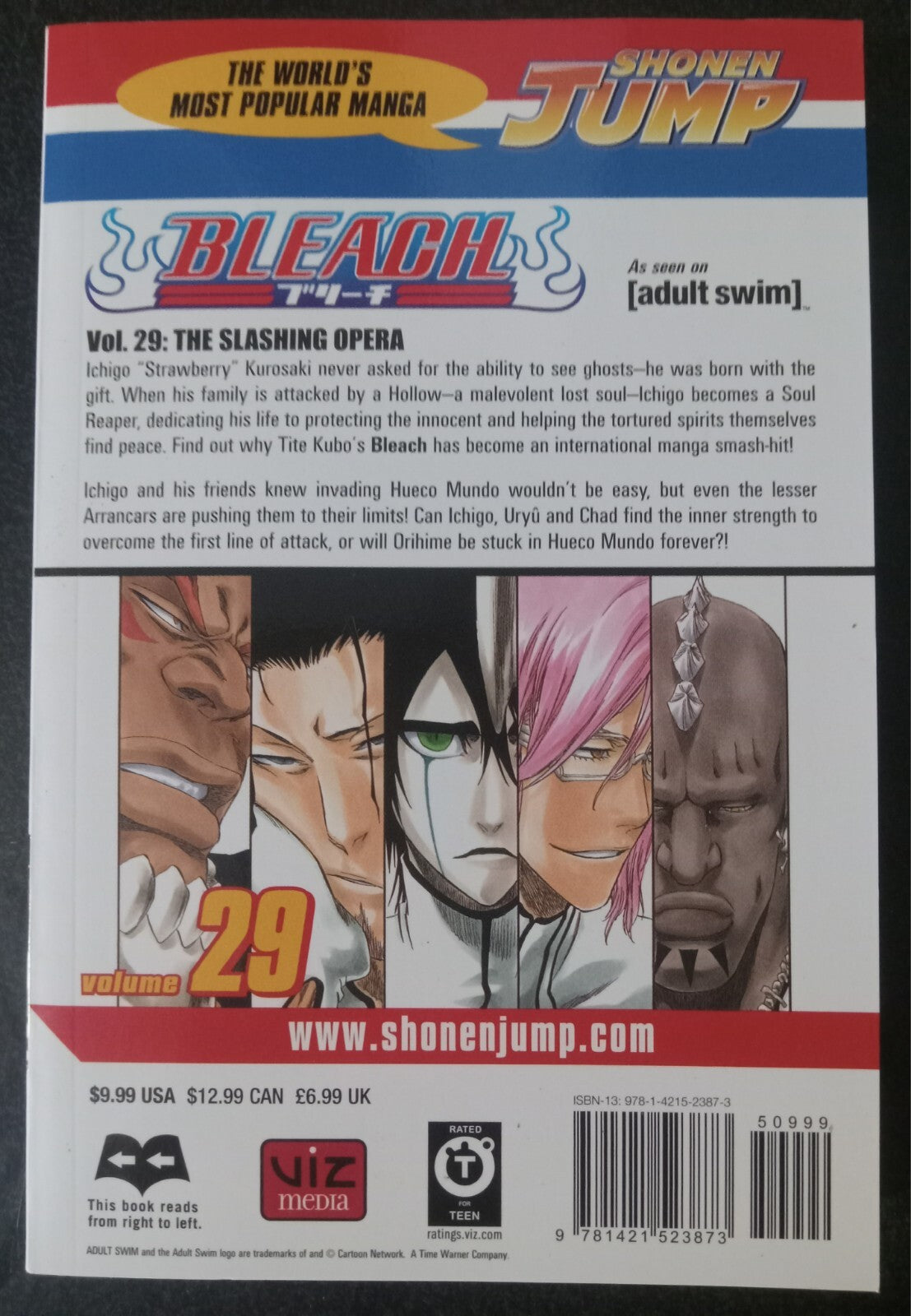 Bleach Vol 29 by Tite Kubo – Viz Dec 2009 Manga PB VG+