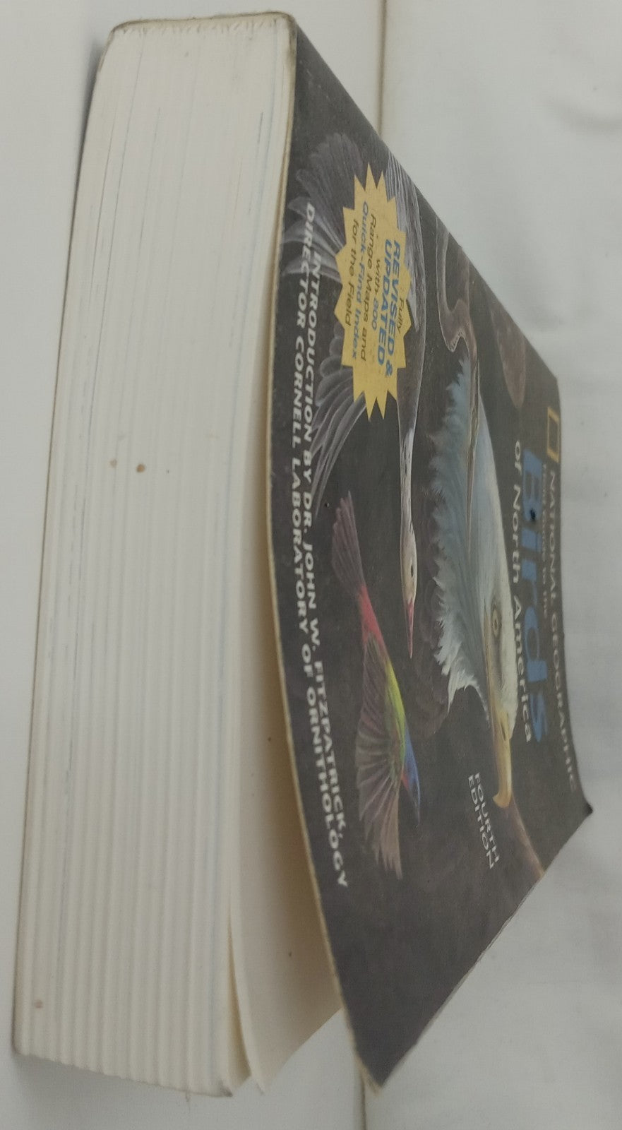 National Geographic Bird Of North America Field Guide Bird Watching Manual