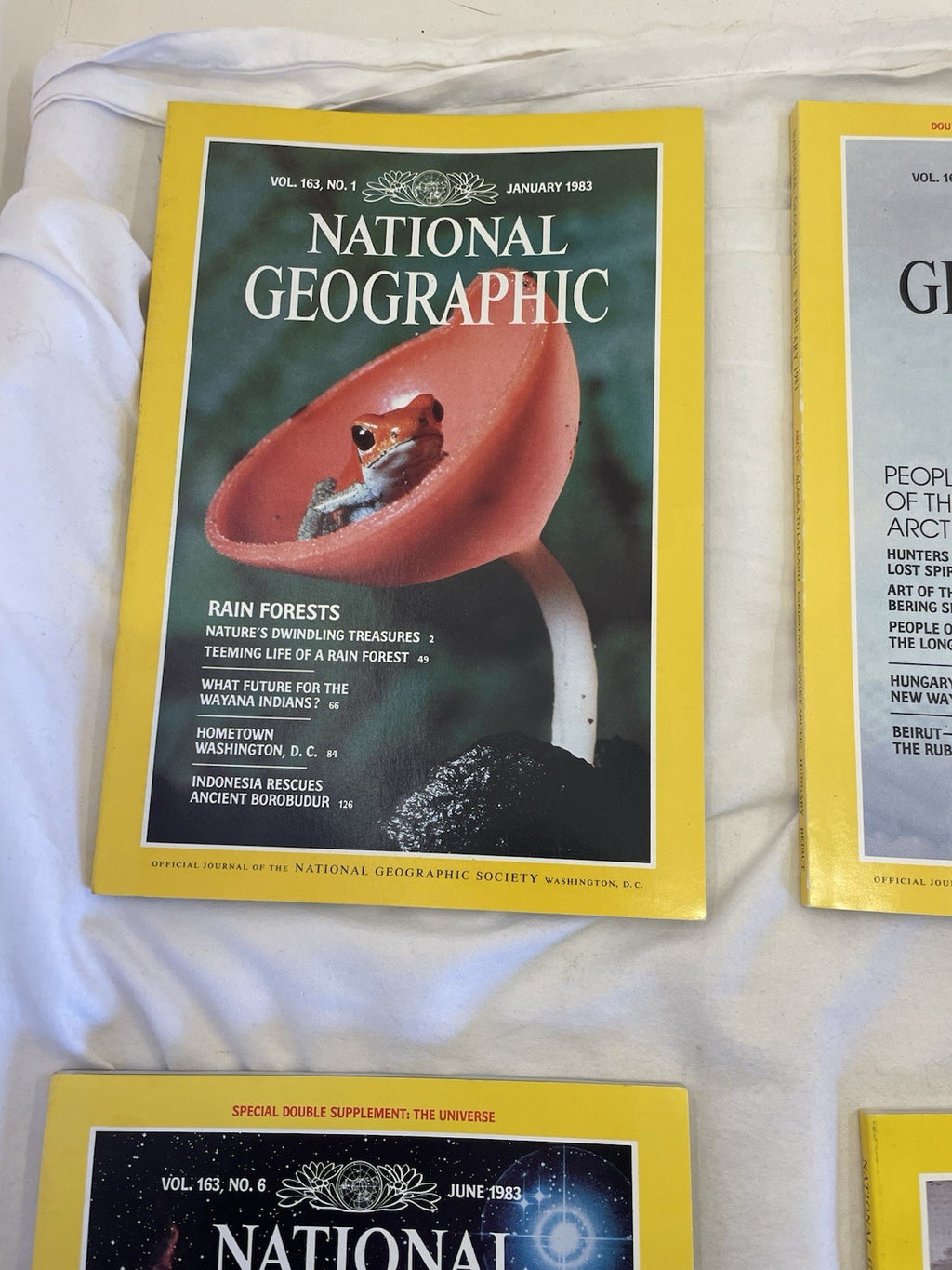 National Geographic Magazines Jan-June 1983 Slipcover - Vintage Collectible Set