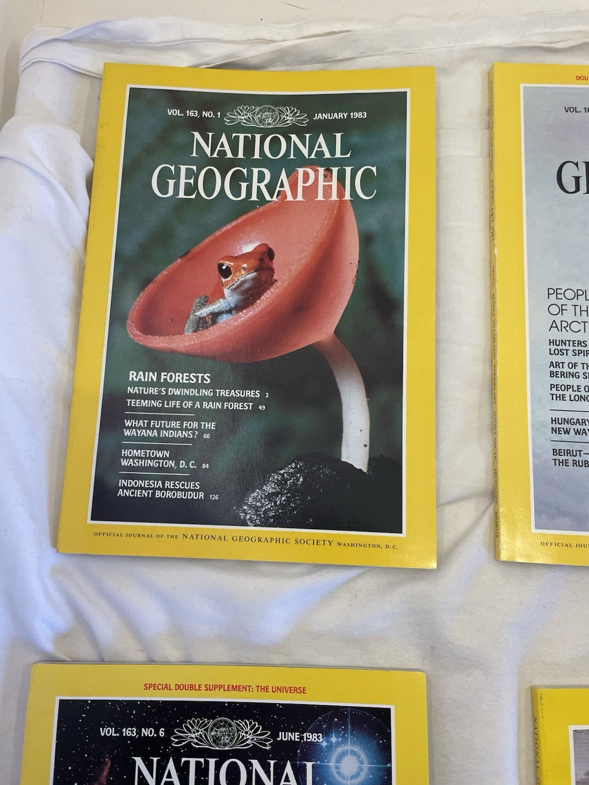 National Geographic Magazines Jan-June 1983 Slipcover - Vintage Collectible Set