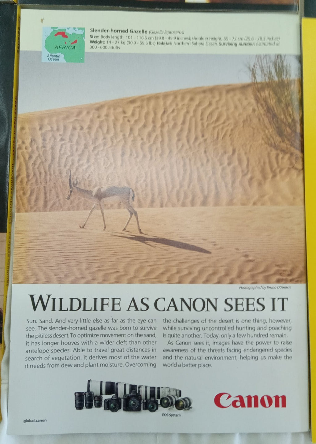 National Geographic Magazine Set Of 6 Jan-June 2020