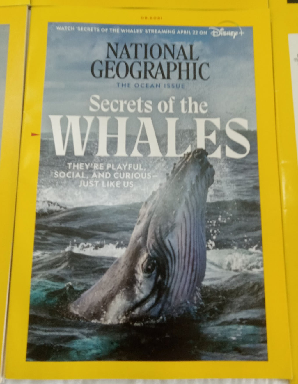 Nat Geo Jan–June 2021 | 6 VG+ Issues in Leatherette Slipcover Case