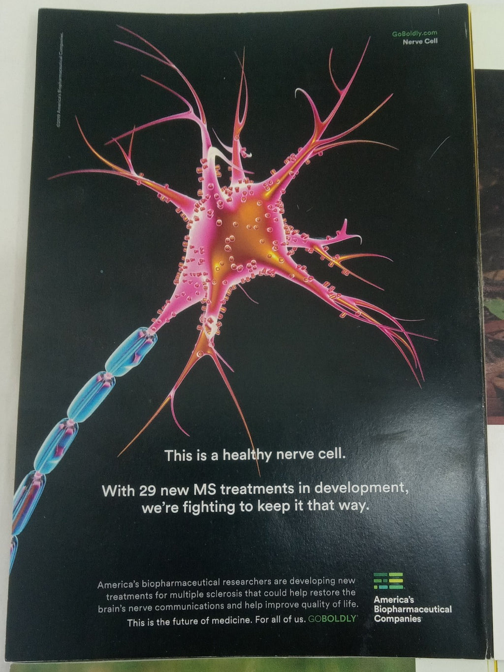 National Geographic Jan–June 2019 VG+ | Faux Leatherette Case | 6 Mags