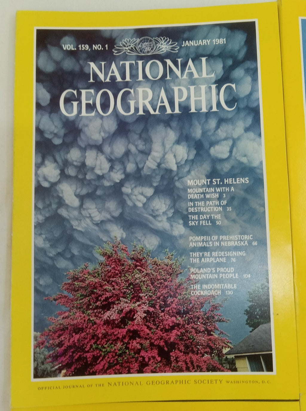 Nat Geo Jan–June 1981 VG+ | Vintage Magazine Set w/ Slipcase | 6 Issues