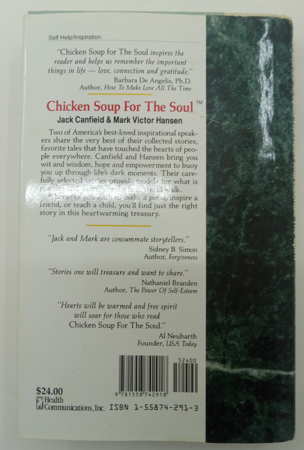 Chicken Soup for the Soul –  101 Stories to Open Heart & Inspire Hope
