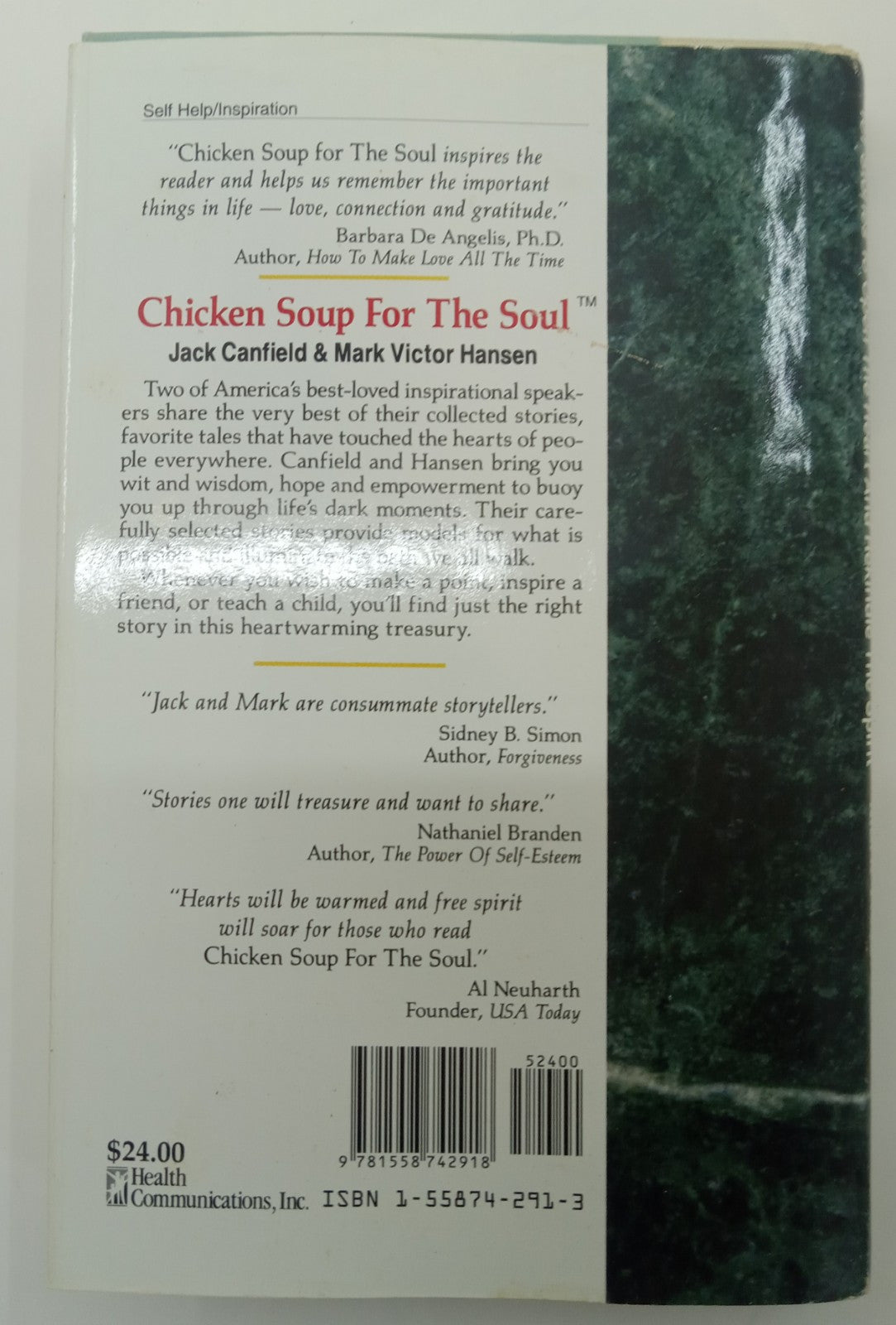 Chicken Soup for the Soul –  101 Stories to Open Heart & Inspire Hope