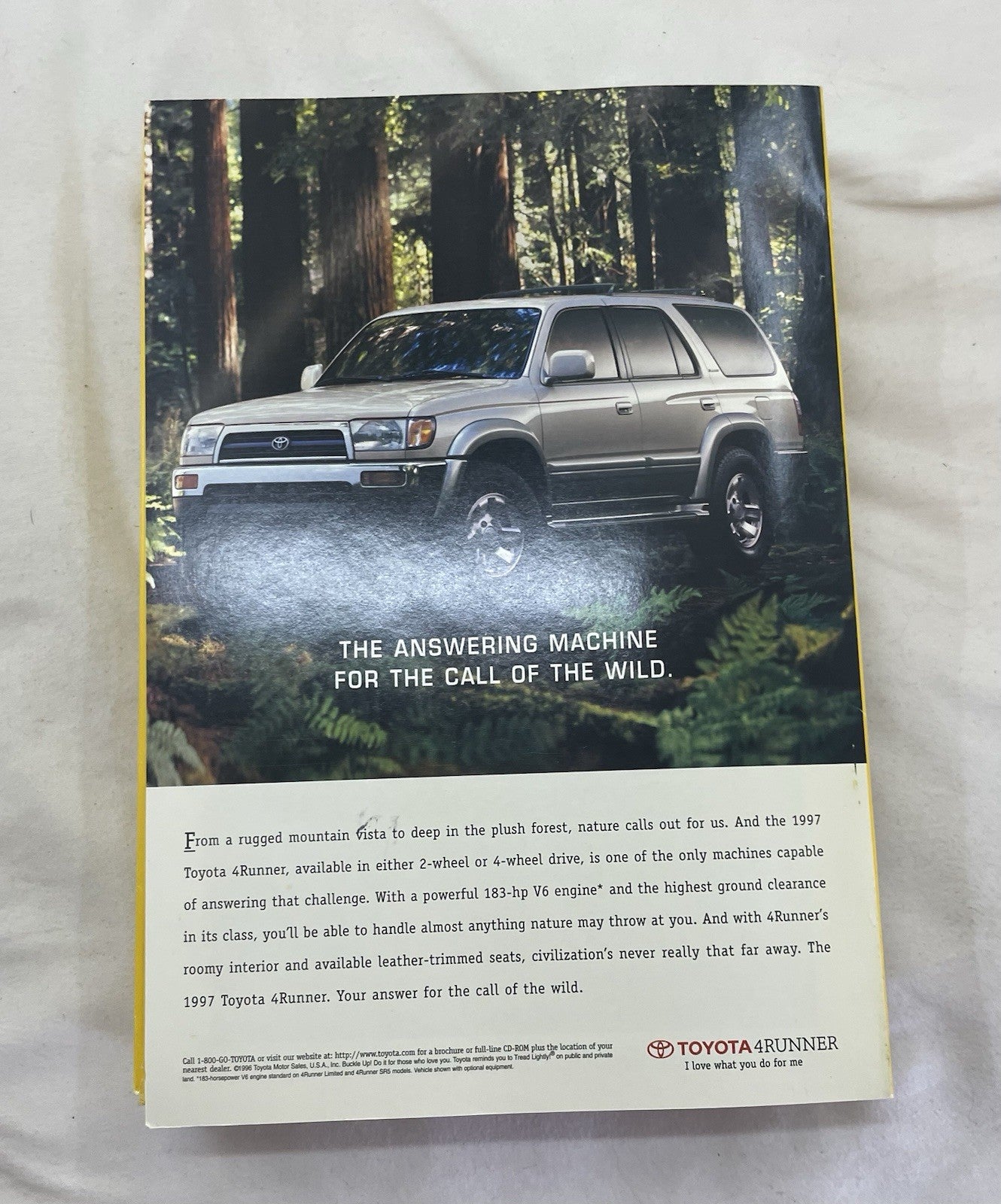 Vintage Nat Geo Lot Jul–Dec 1996 Slipcover Set | Wildlife, Illustrated