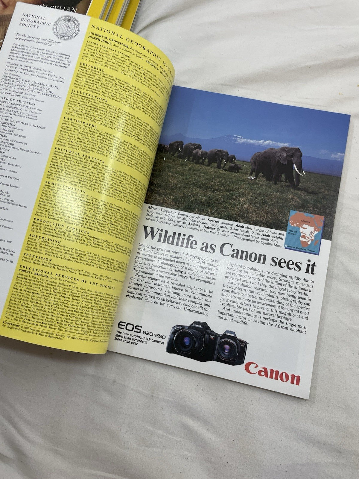 Nat Geo Mags Jul–Dec 1987 Vtg Slipcvr Set Wildlife World Decor Nature