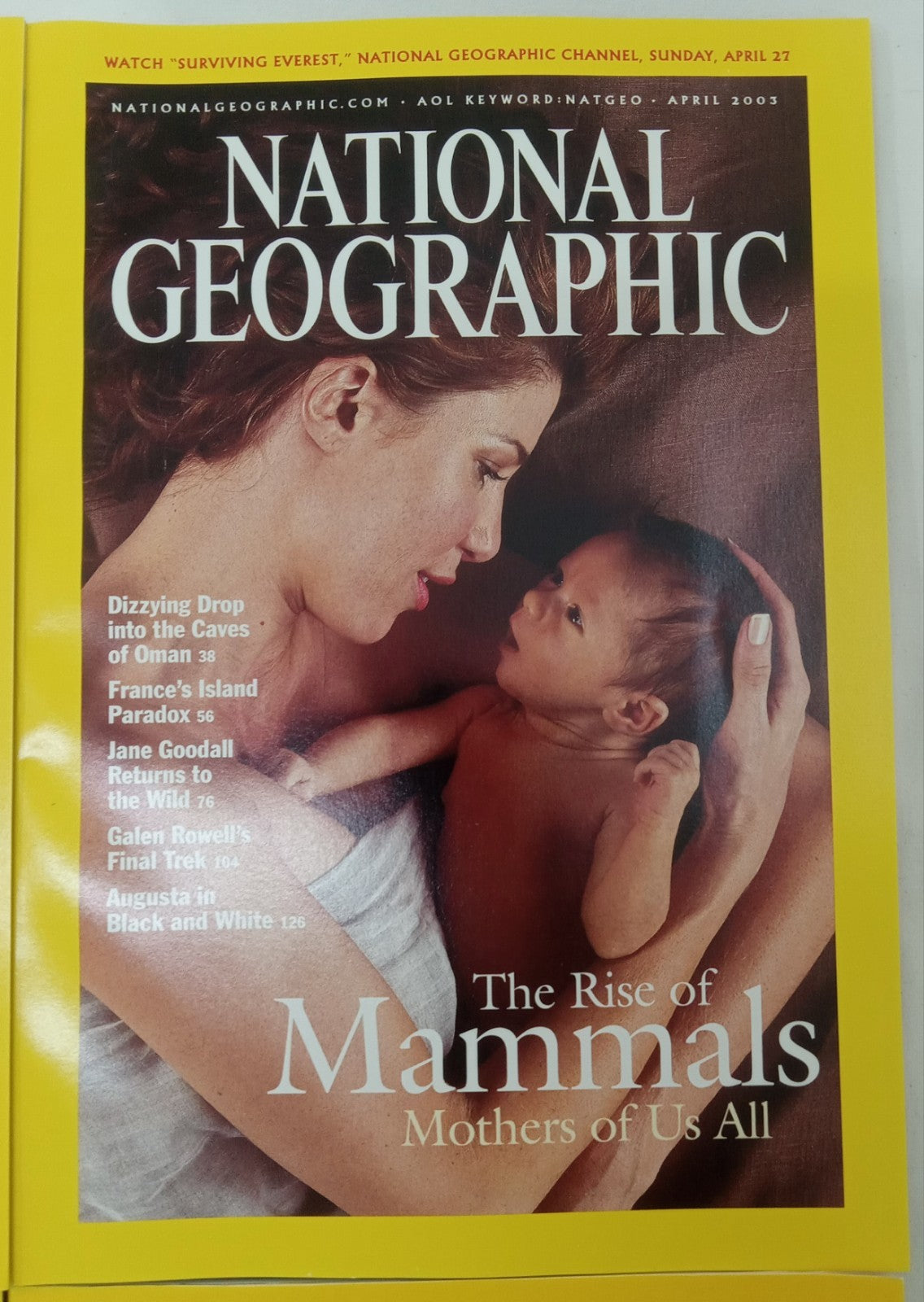 Nat Geo Jan–June 2003 Set | VG+ | 6 Issues in Faux Leather Slipcover
