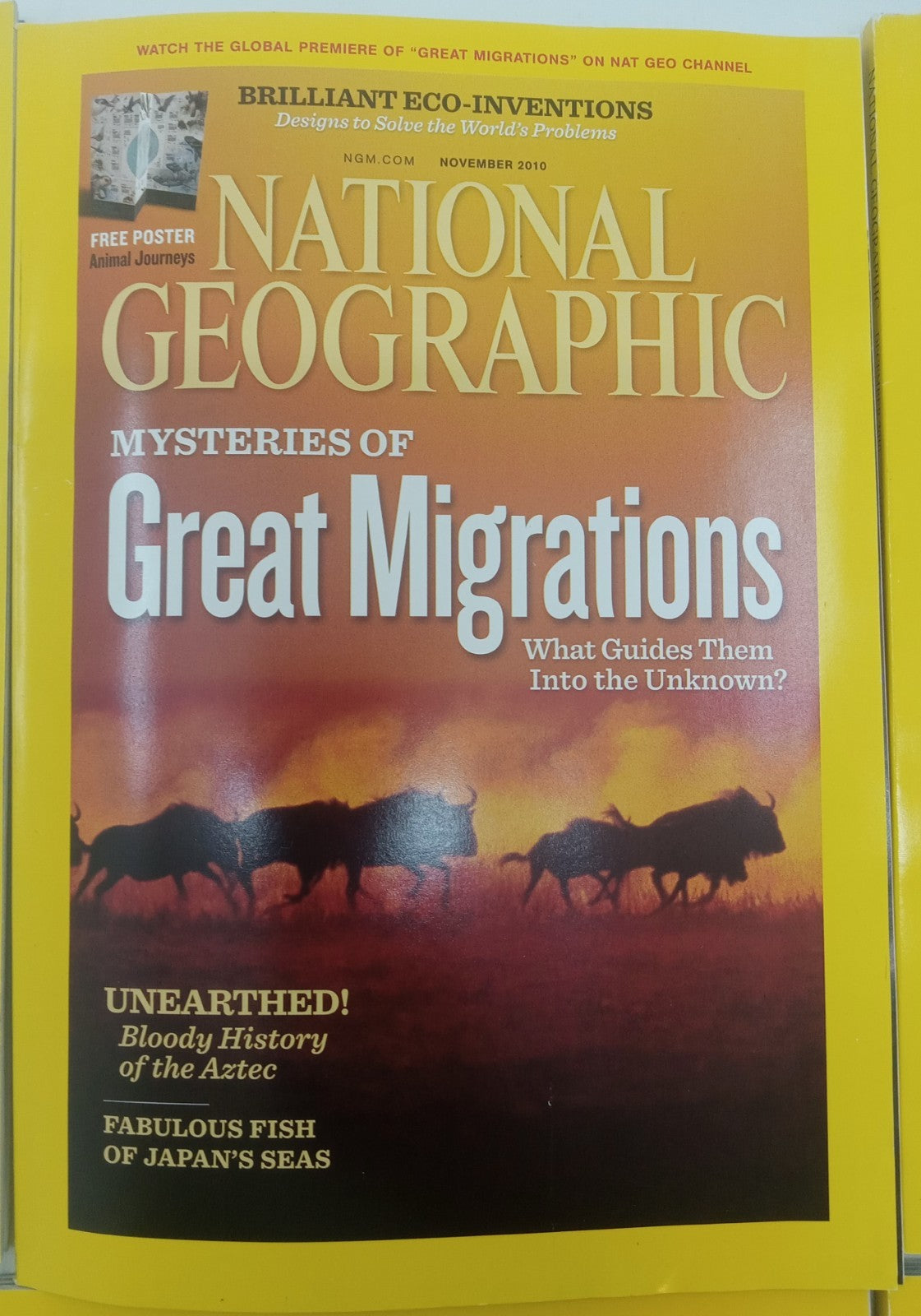 Nat Geo Magazines With Slipcover July To December 2010