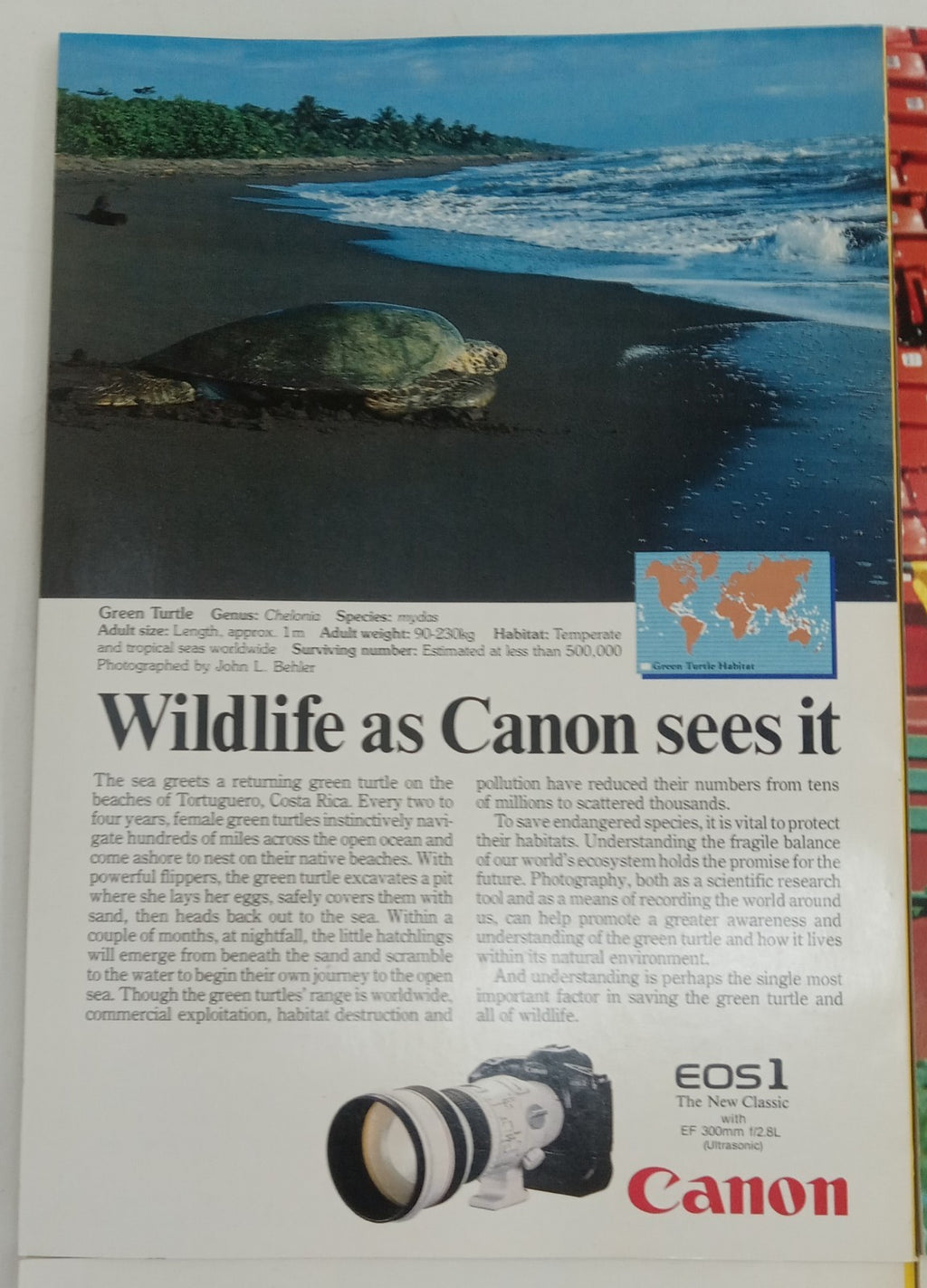 Nat Geo Magazines With Slipcover July To December  1989