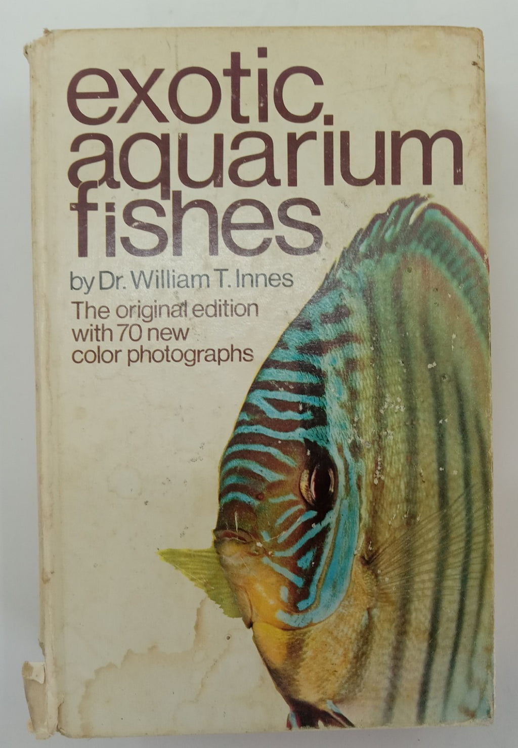Exotic Aquarium Fish by William T. Innes –A Vintage Fish Reference