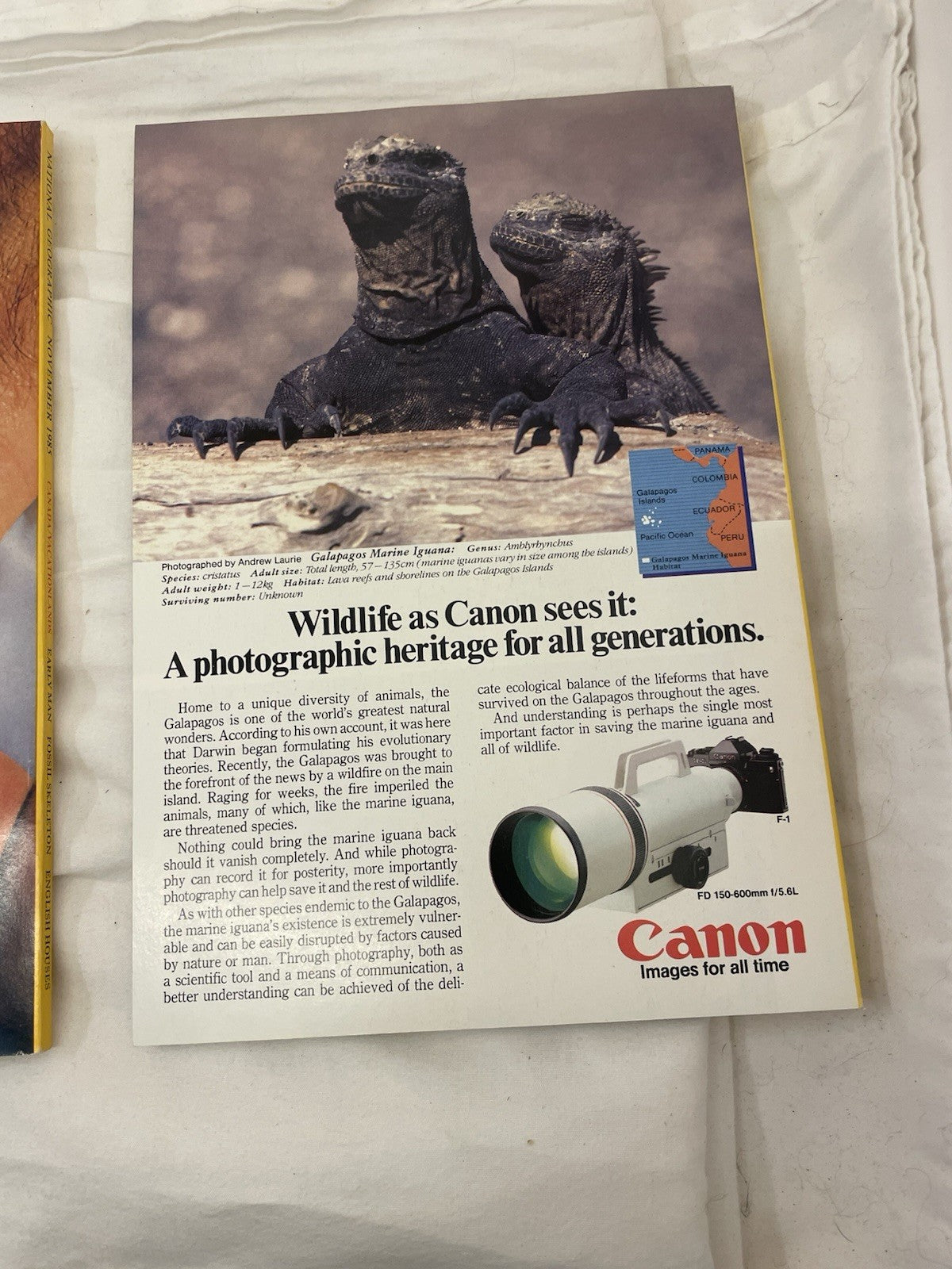 Nat Geo Mags Jul–Dec 1985 Set + Slipcvr Vtg Earth Wildlife World Atlas