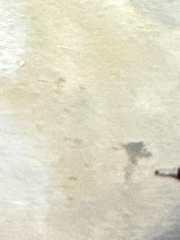 Sally B Hooff Acrylic on Board Painting Original Signed PEI Artist Artwork