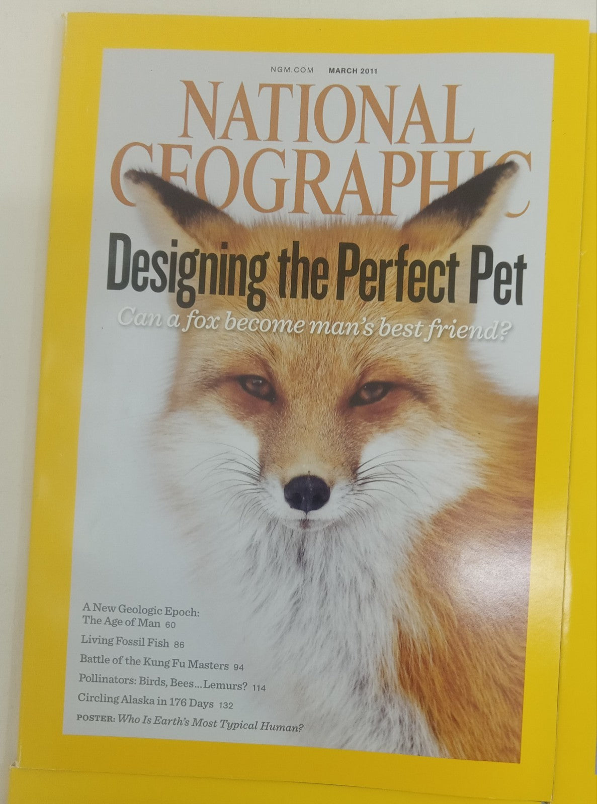 Nat Geo Magazines With Slipcover Jan To June 2011