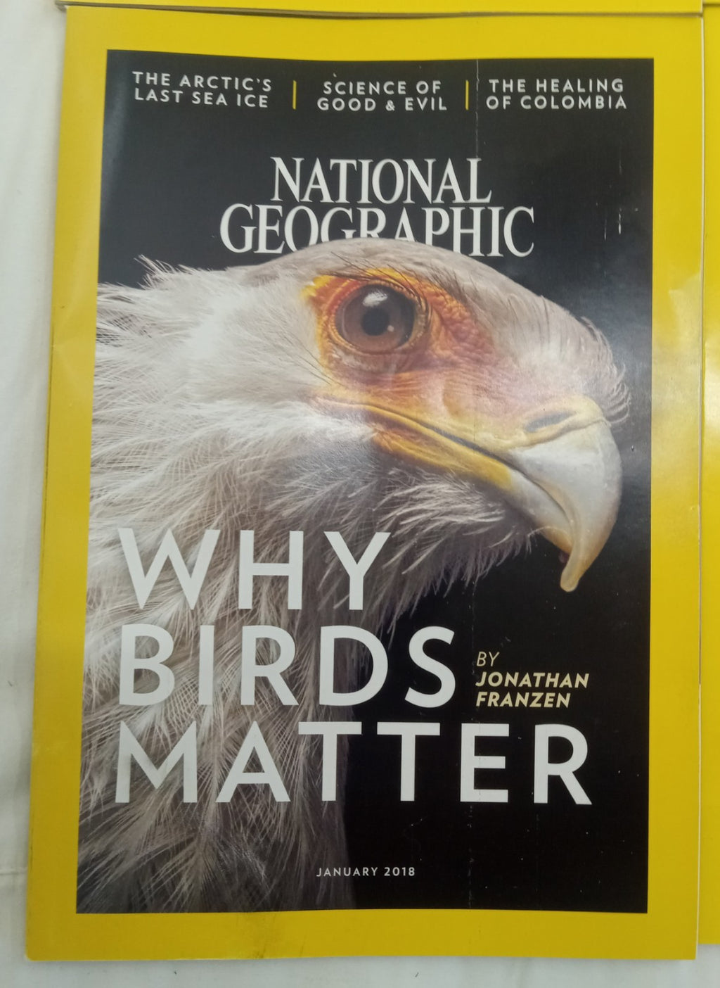 National Geographic Magazine Set With Slipcover Case Jan-June 2018