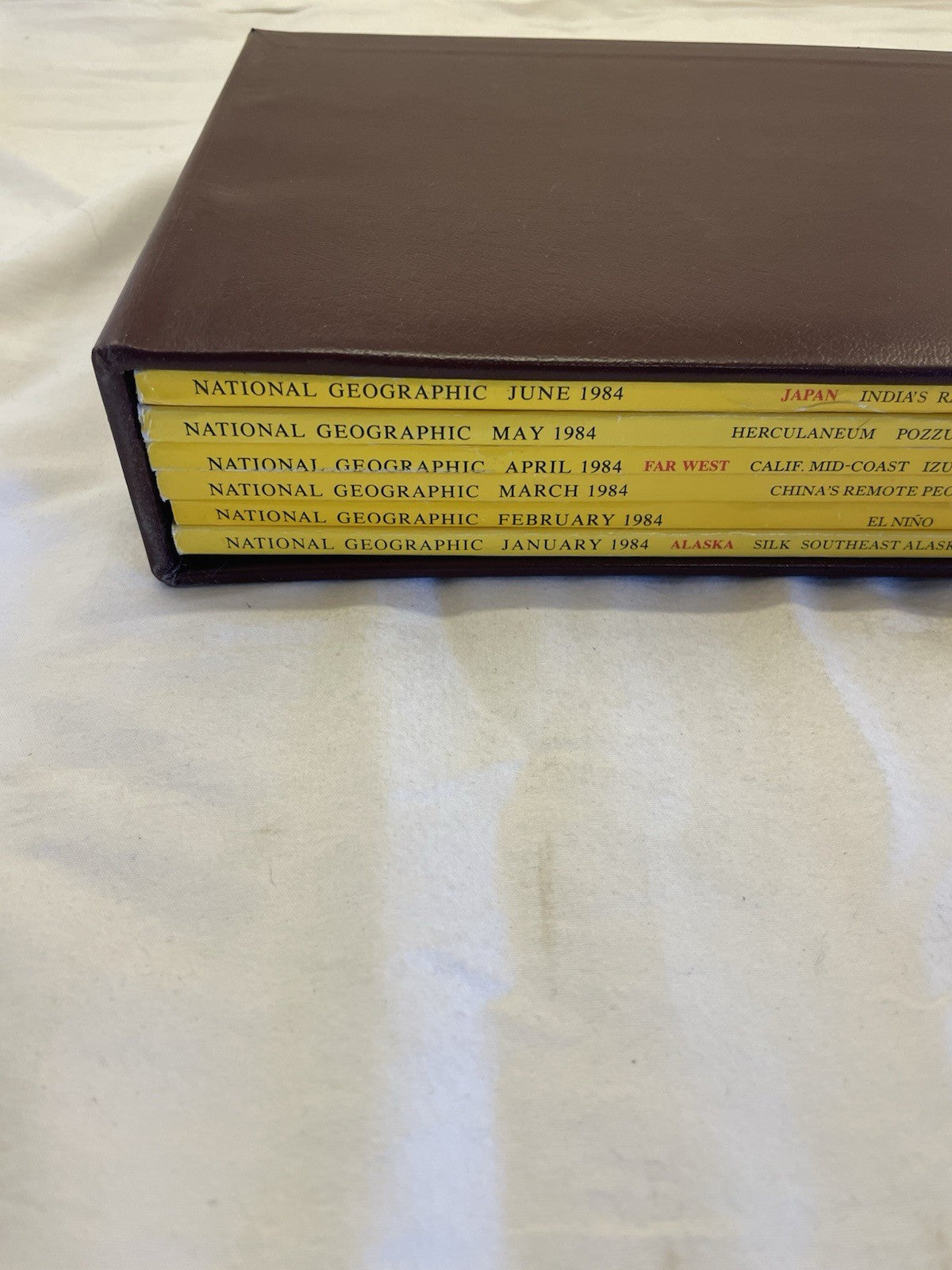 Nat Geo Mags Jan–Jun 1984 Vtg Wildlife Geo Nature Travel Decor Slipcvr