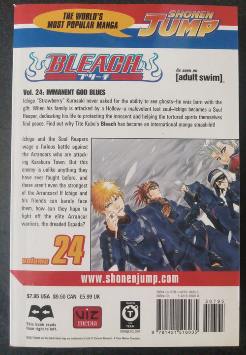 Bleach Vol 24 by Tite Kubo – Viz Sep 2008 Manga PB VG+