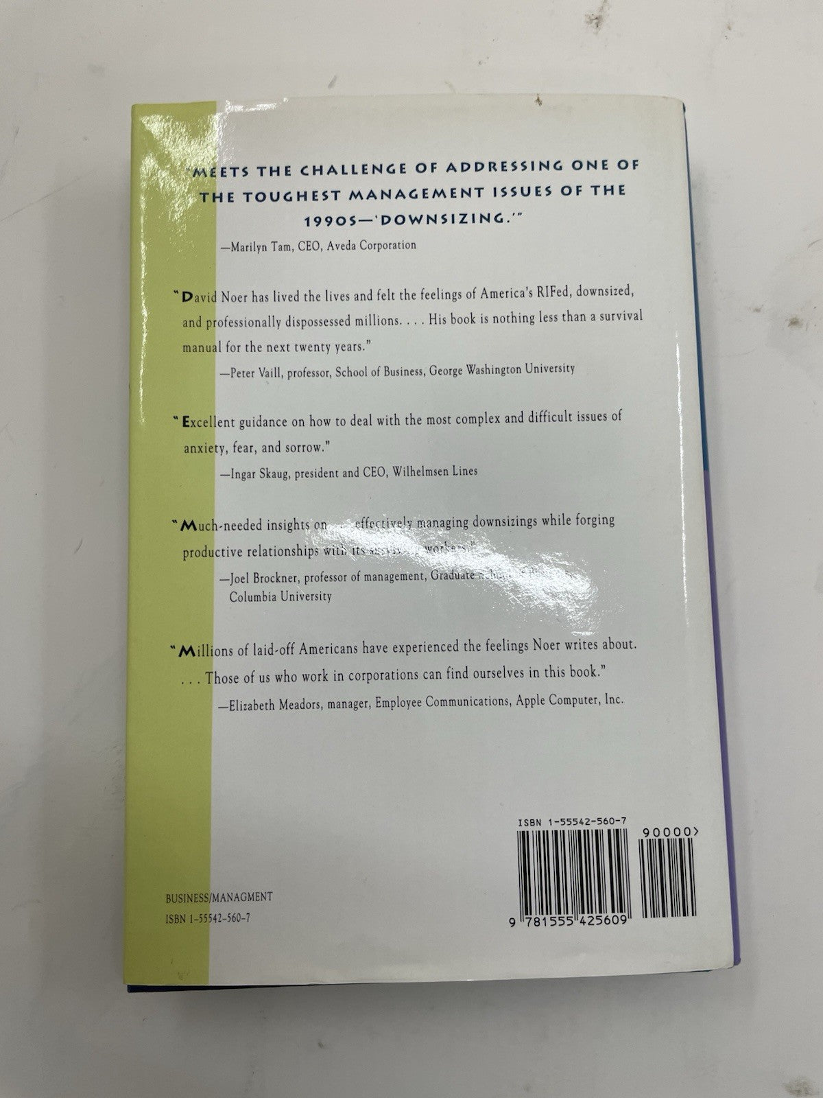 Healing the Wounds HC Layoff Trauma Career Help David Noer Biz Self-Help