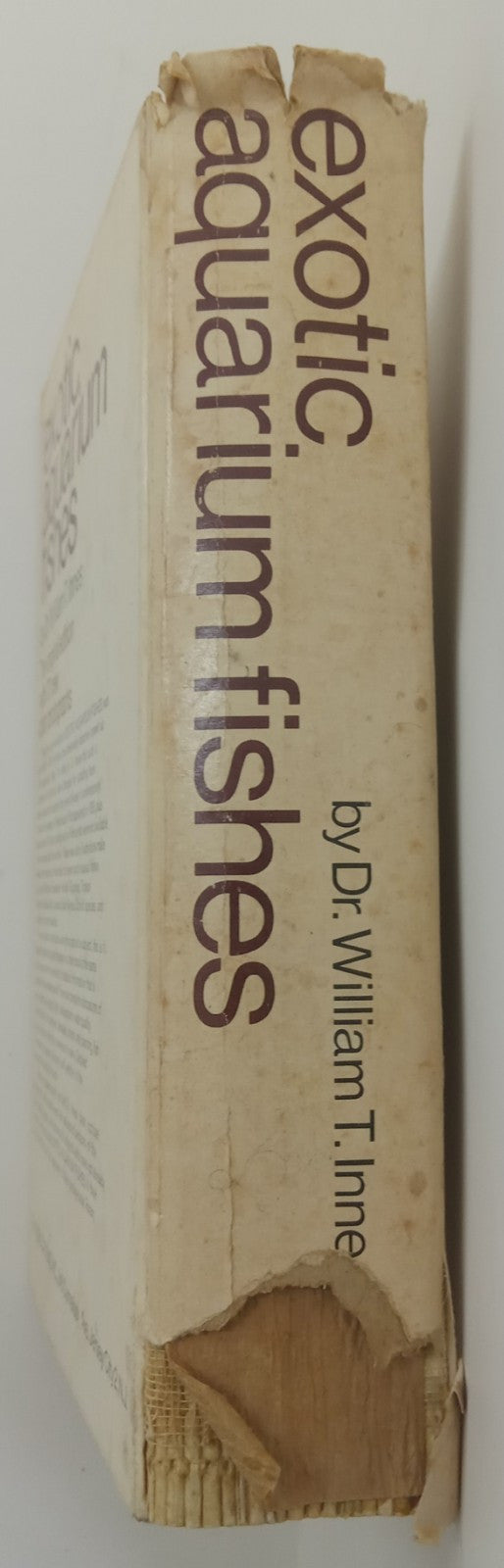 Exotic Aquarium Fish by William T. Innes –A Vintage Fish Reference