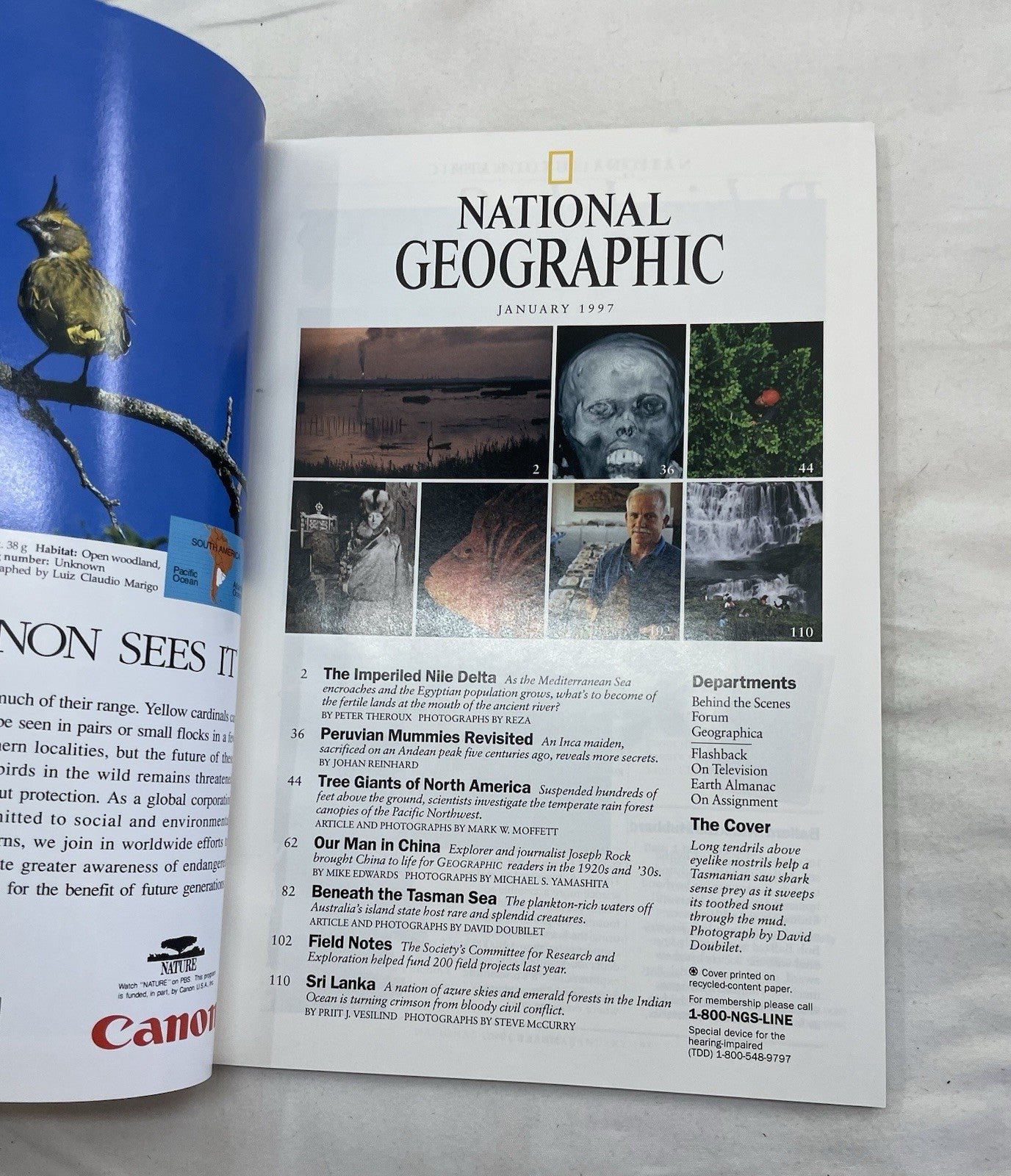 Nat Geo Mag Lot Jan–Jun 1997 Vtg Slipcvr Wildlife Travel Retro School