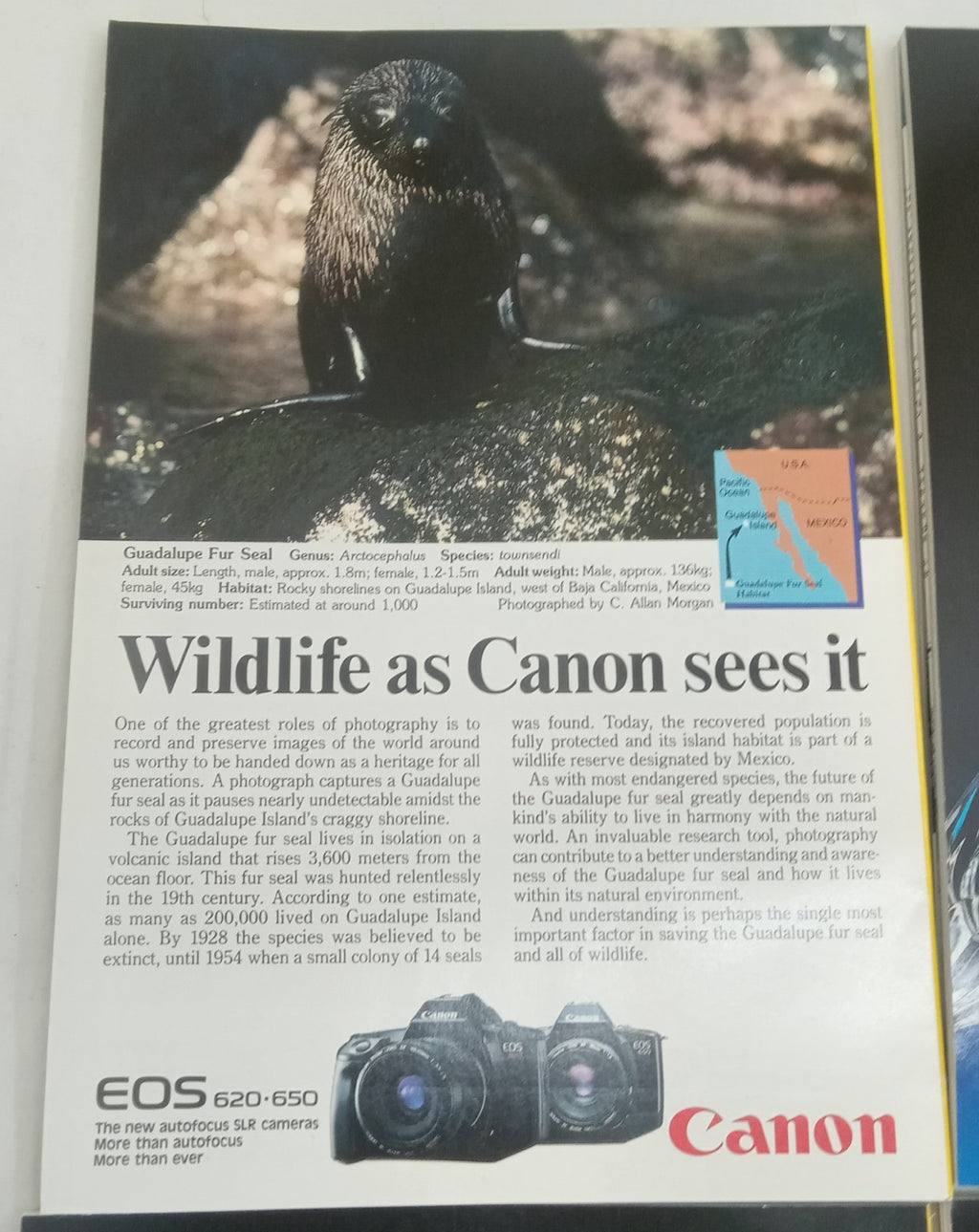 Nat Geo Magazines With Slipcover July To December 1988