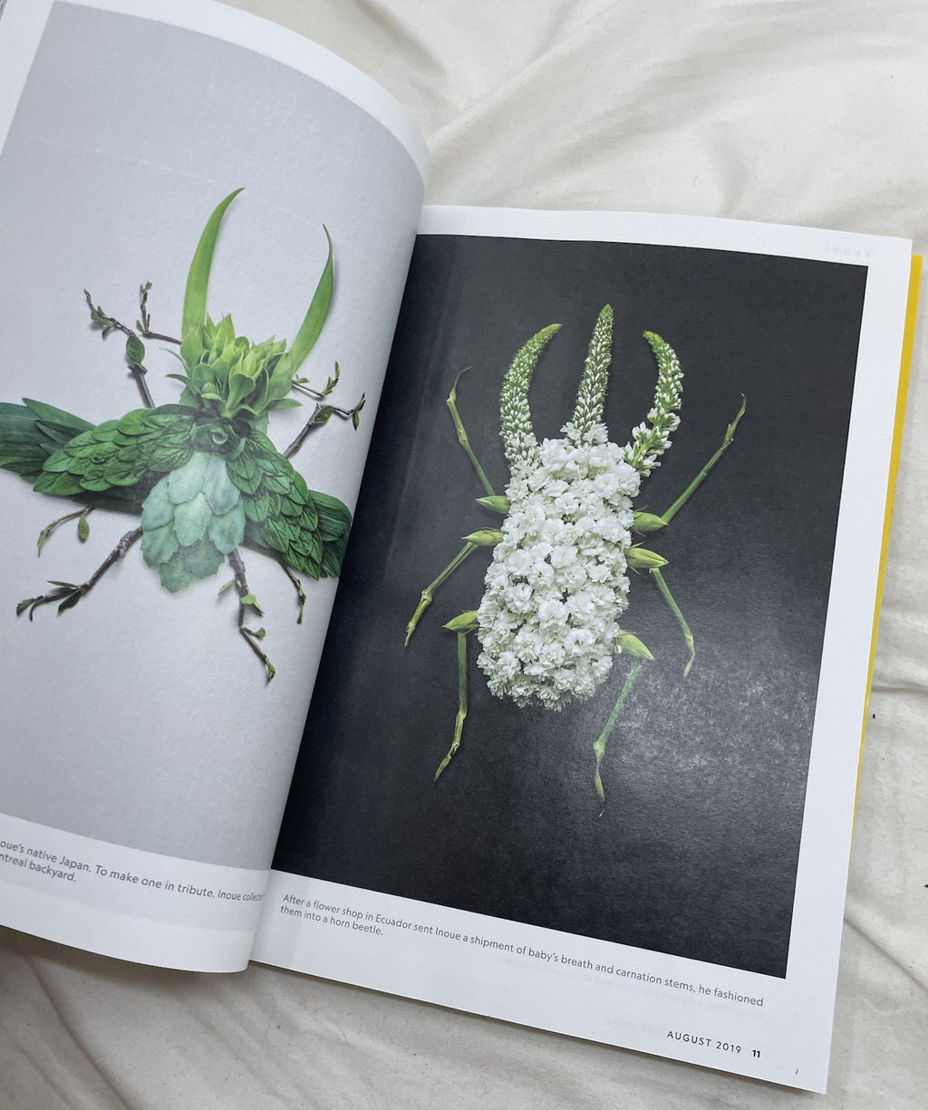 Nat Geo Lot Jul–Dec 2019 w/ Slipcover | World, Science, Photography