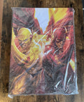 The Flash DC Licensed Canvas Wall Hanging – Bold, Framed, Iconic Artwork