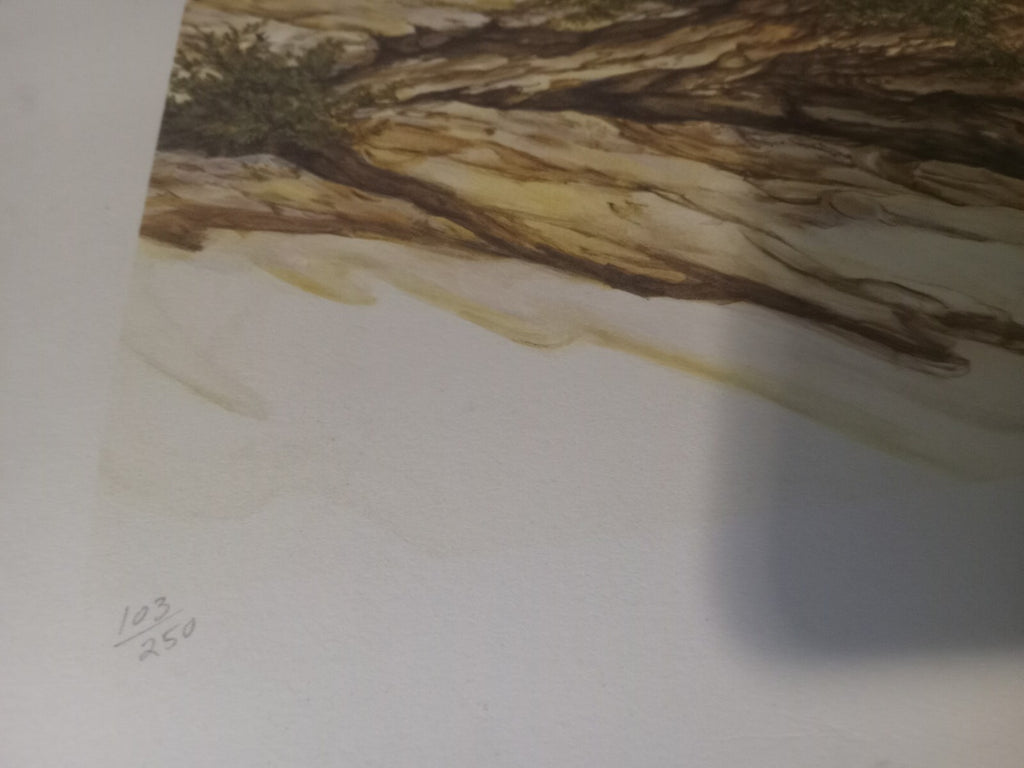 Unframed Limited Edition Cheetah Desert Landscape Print by Artist Marshall