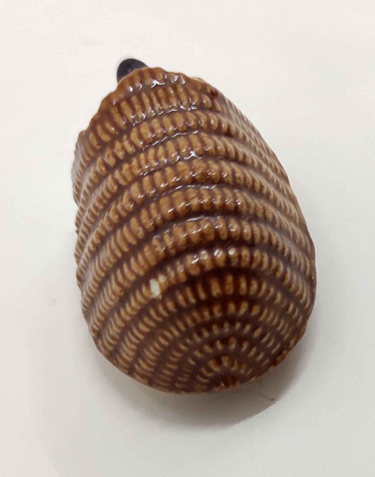 Wade Whimsies Hedgehog Mini Figurine England Vintage Ceramic Wade Animal