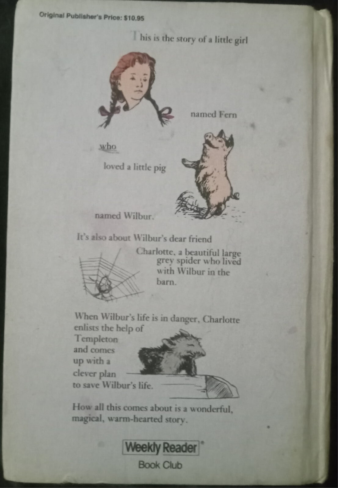 Charlotte’s Web by E.B. White – Illustrated Children’s Hardcover Classic