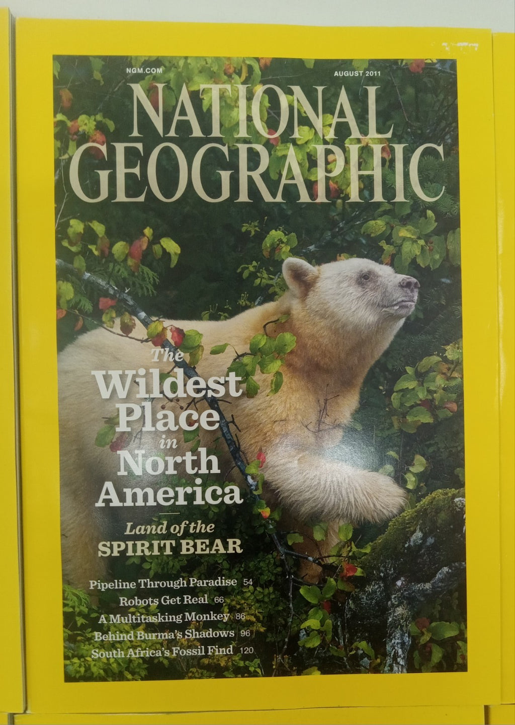 Nat Geo Magazine With Slipcover July To December 2011