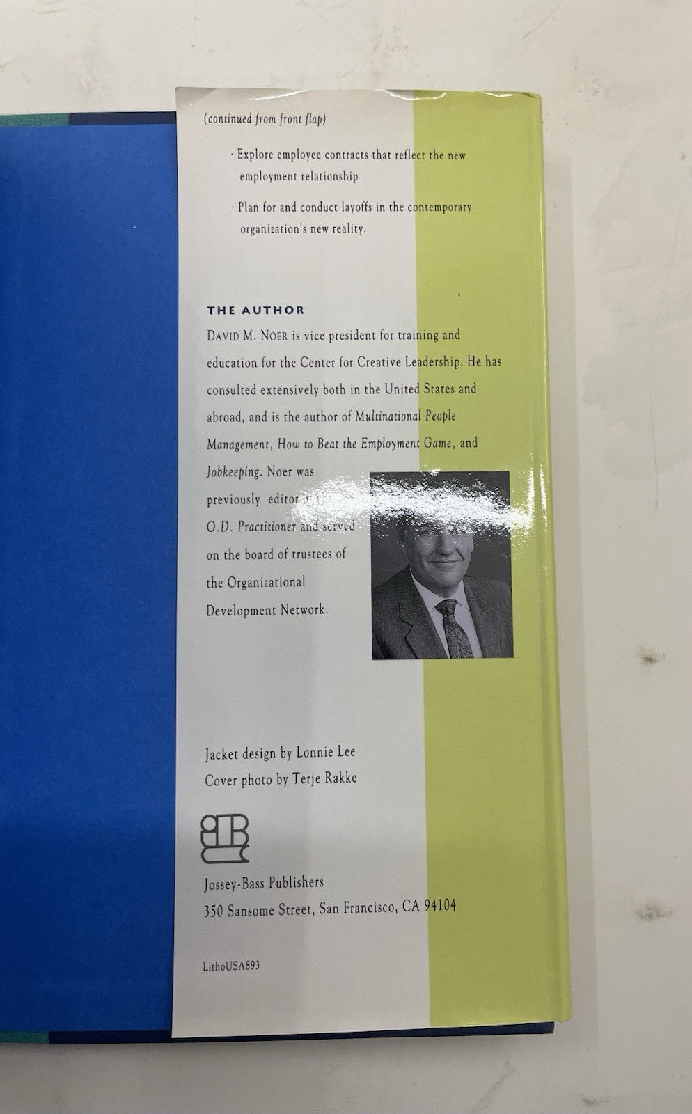 Healing the Wounds HC Layoff Trauma Career Help David Noer Biz Self-Help