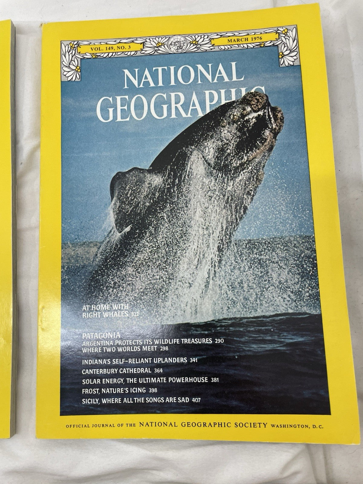 Nat Geo Jan–Jun 1976 Slipcover Set | Science, Nature, Travel Magazine