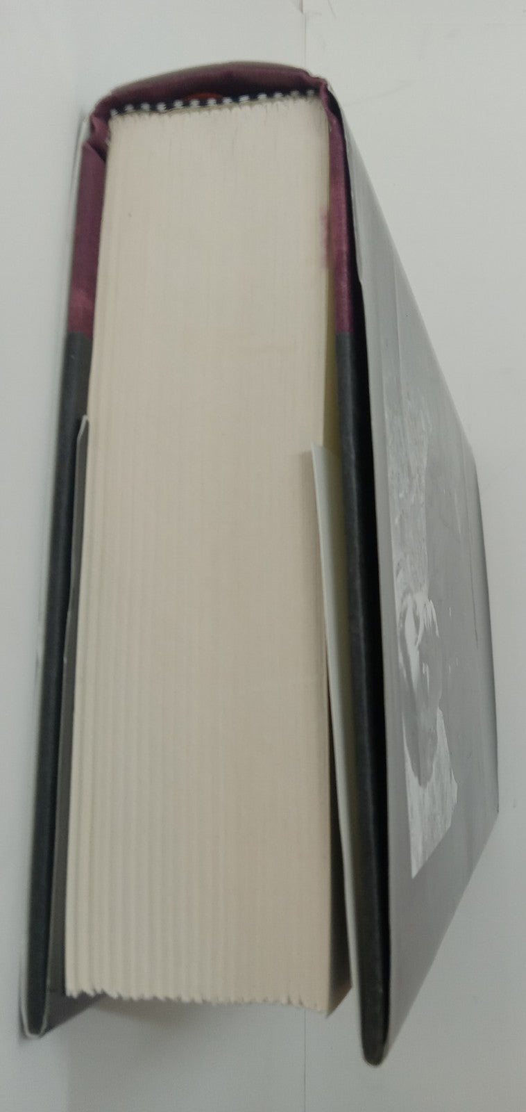 A Son of the Circus by John Irving – VG+ Literary Fiction Hardcover Book DJ