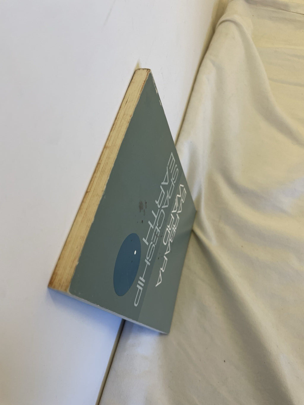 Spaceship Earth Barbara Ward 1966 Vintage Paperback Global Issues Environment