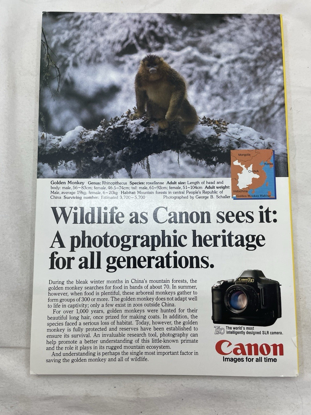 Vintage Nat Geo Lot Jul–Dec 1986 w/ Slipcover | Travel, Discovery Set