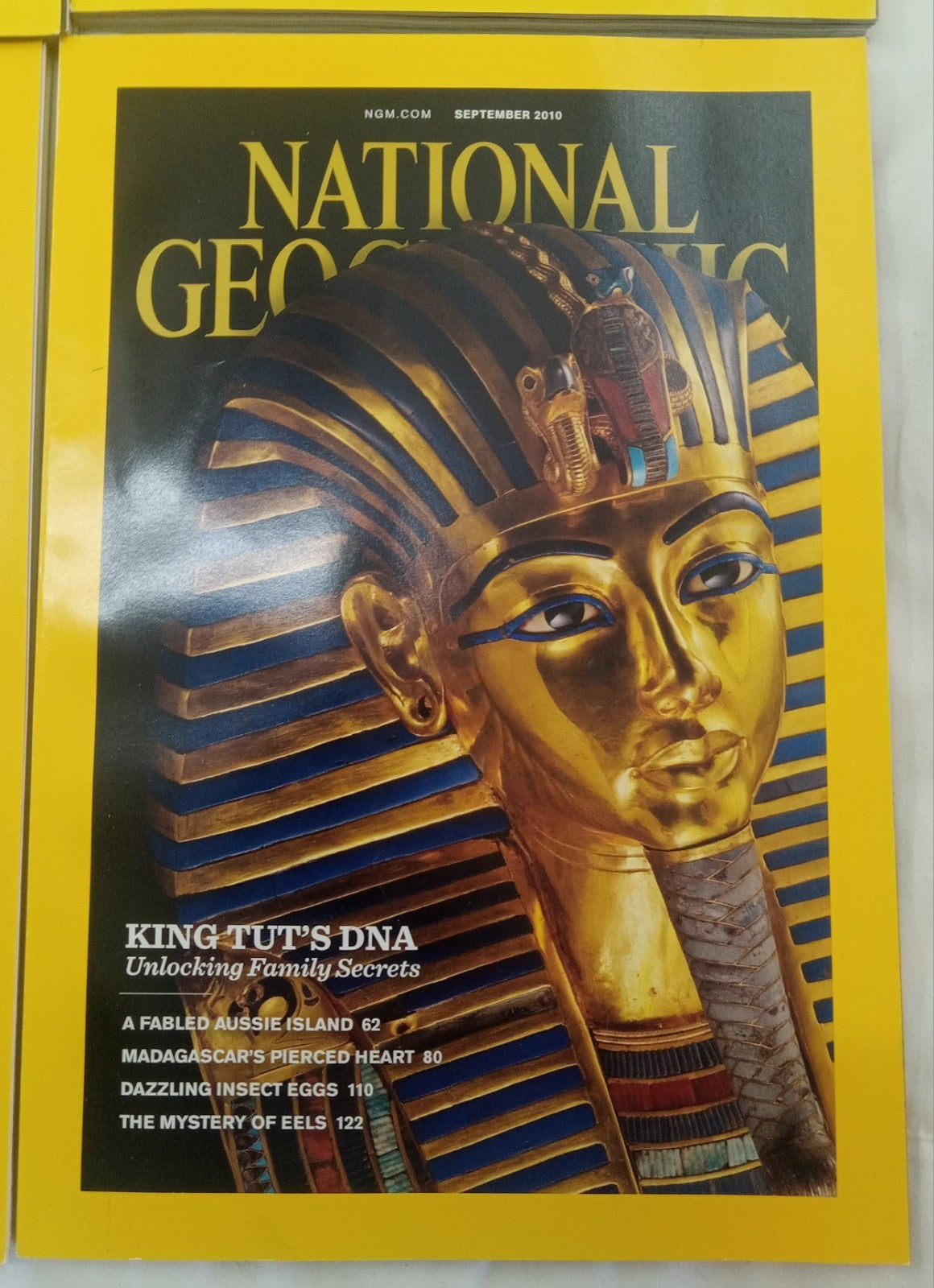 Nat Geo Magazines With Slipcover July To December 2010
