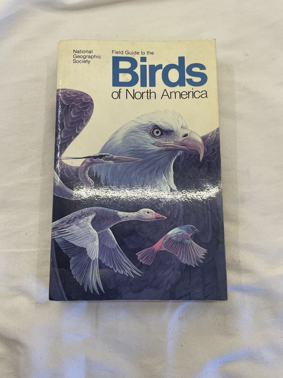 Nat Geo Birds of North America Field Guide Vintage HC Illustrated Wildlife Book