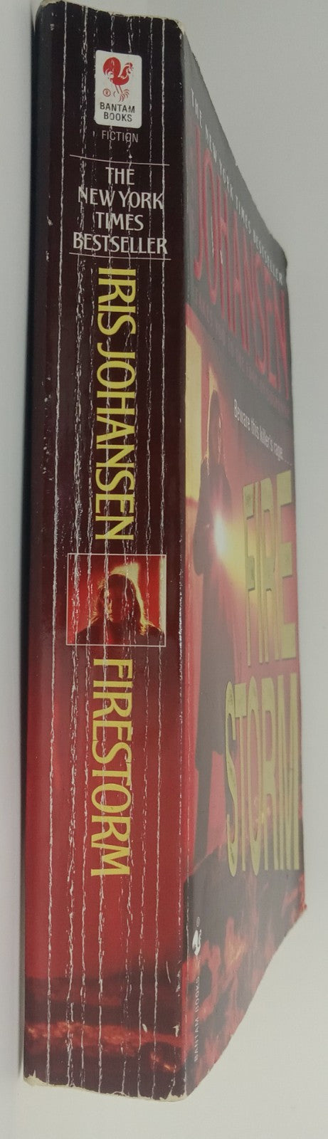 Firestorm by Iris Johansen – VG+ Romantic Suspense, Eve Duncan Series