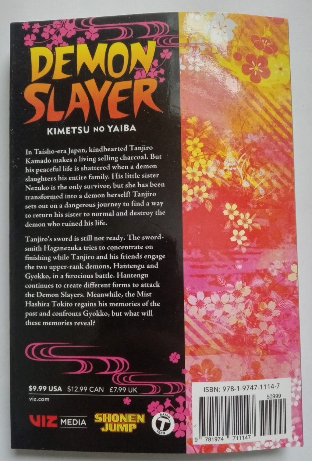 Demon Slayer Vol. 14 Manga Koyoharu Gotouge 2019 VG+