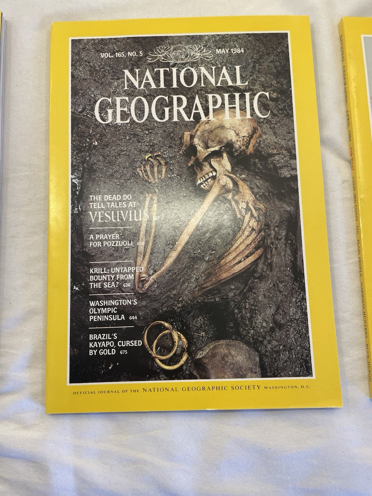 Nat Geo Mags Jan–Jun 1984 Vtg Wildlife Geo Nature Travel Decor Slipcvr